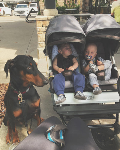 Life Lately: The Highs, Lows and In Betweens