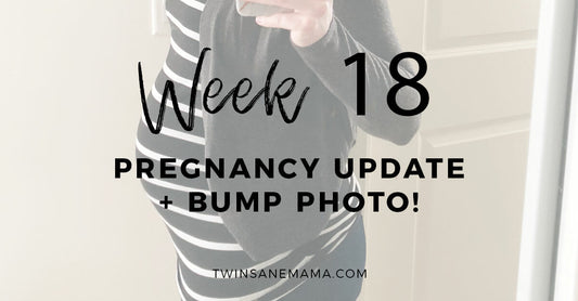 Twin Pregnancy 18 Week Bump