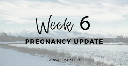 Pregnancy Update: Week 6